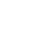 Bolsy
